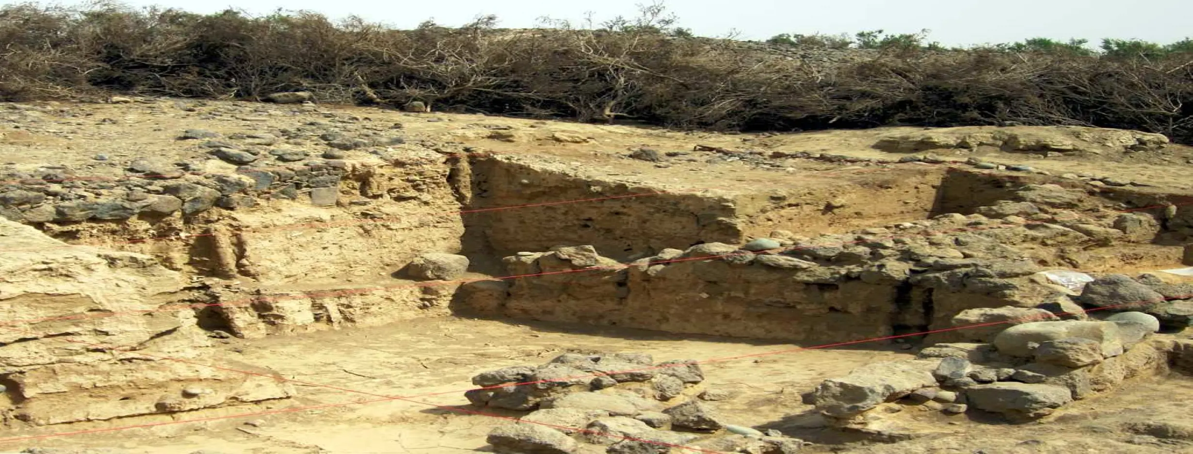 Image for Adulis Archaeological Site